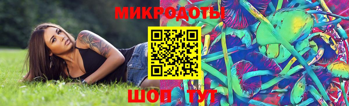 Псилоцибиновые грибы прущие грибы Маркс