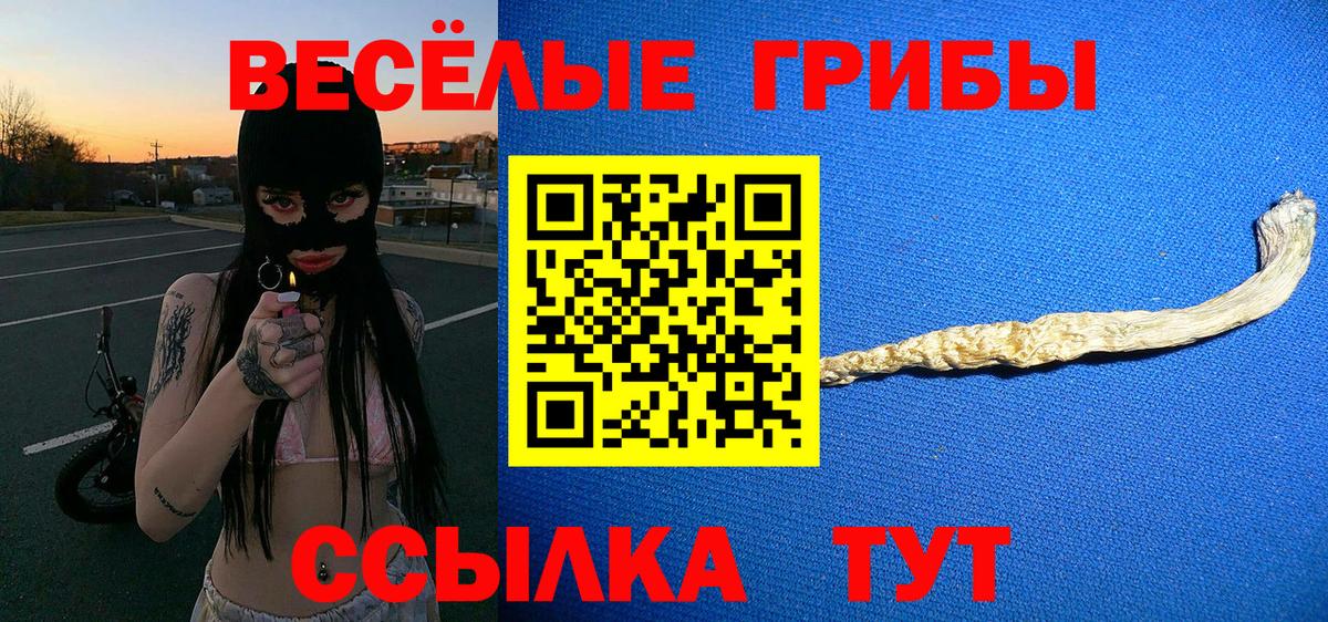 Маркс  магазин продажи   Галлюциногенные грибы Psilocybe  Вход с VPN  Псилоцибиновые грибы прущие грибы 